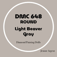 Color card for DMC 648 Light Beaver Gray round replacement diamond painting drills – image 17